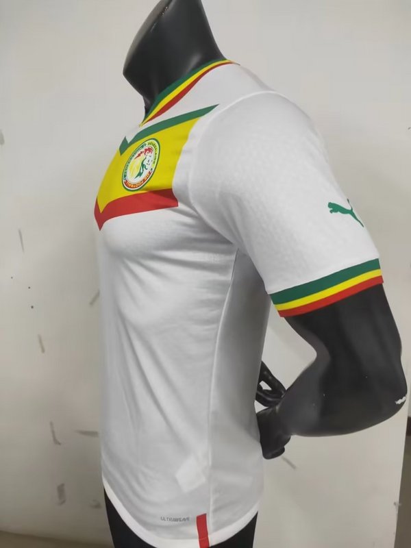 2022 Senegal home